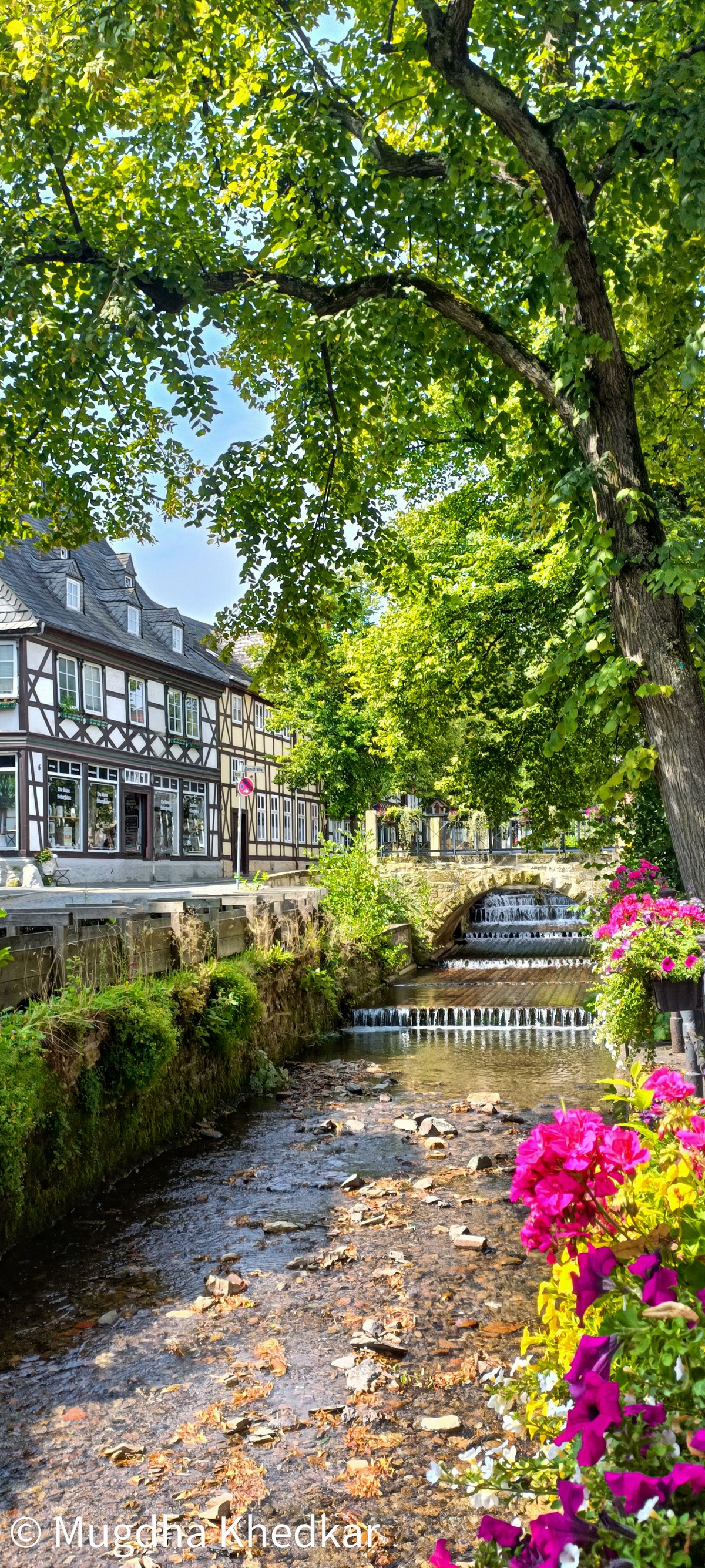 Half-timbered houses and flowers along the Abzucht stream in Goslar