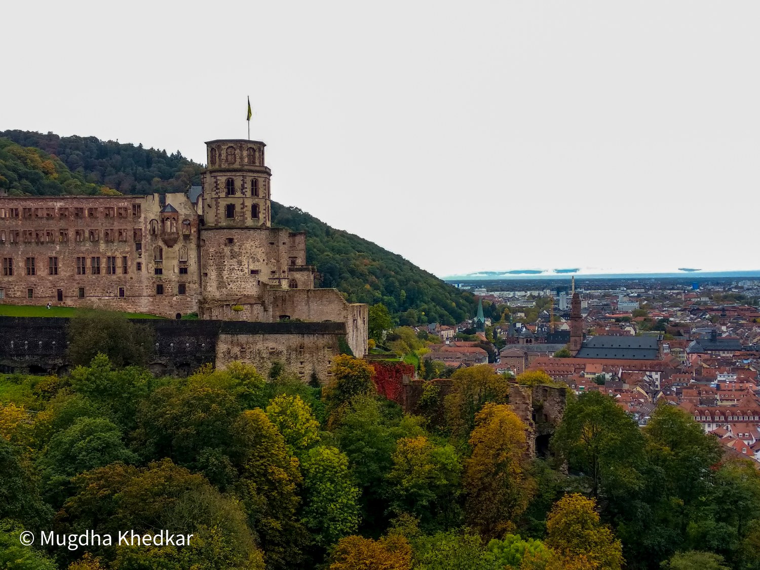Heidelberg Castle above the old town and autumn trees