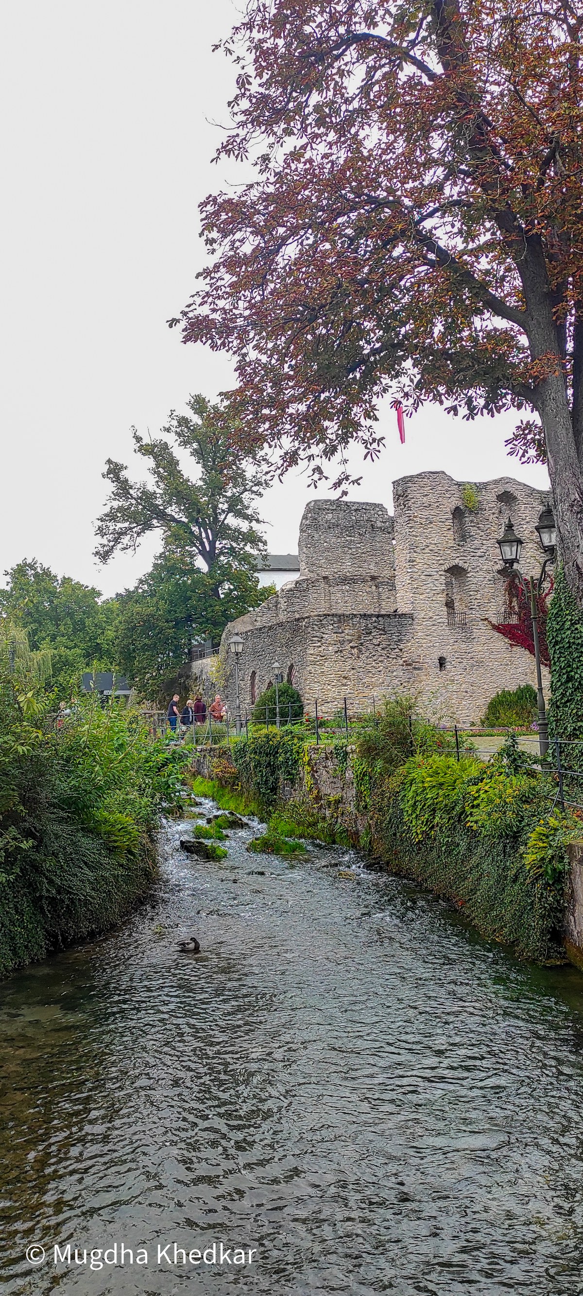 The young Lippe river flowing past the castle ruins in Bad Lippspringe