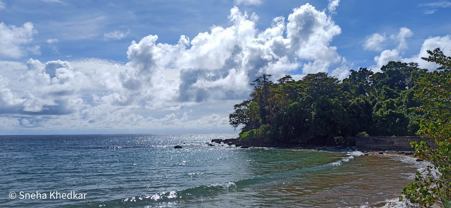 Turquoise sea and a forested headland at Sitapur Beach on Neil Island