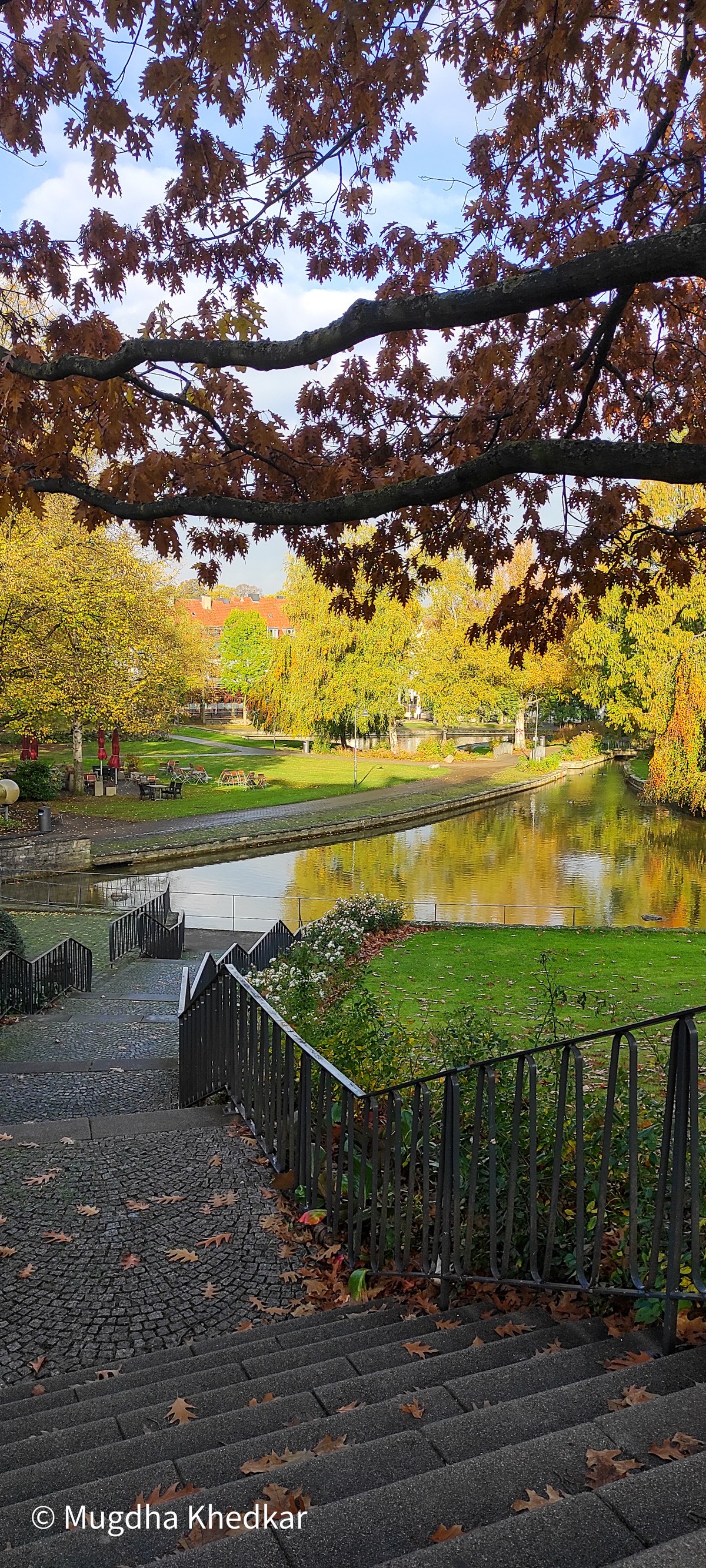 Steps leading down through autumn leaves to the Paderquellgebiet in Paderborn